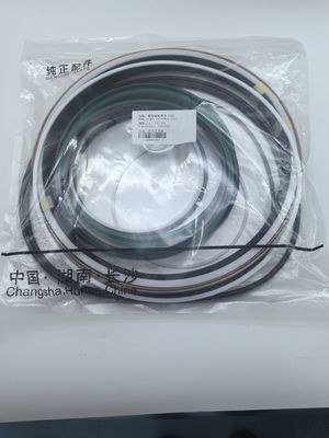 Harga bagus Sangat tahan lama ZOOMLION TRUCK-mounted BETON PUMP Excavator Cylinder Seal Kit 220-360 dengan PU PTFE NBR IRON Phenolic Seals on line